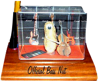 Bass Nut -  www.larrybarronguitar.com